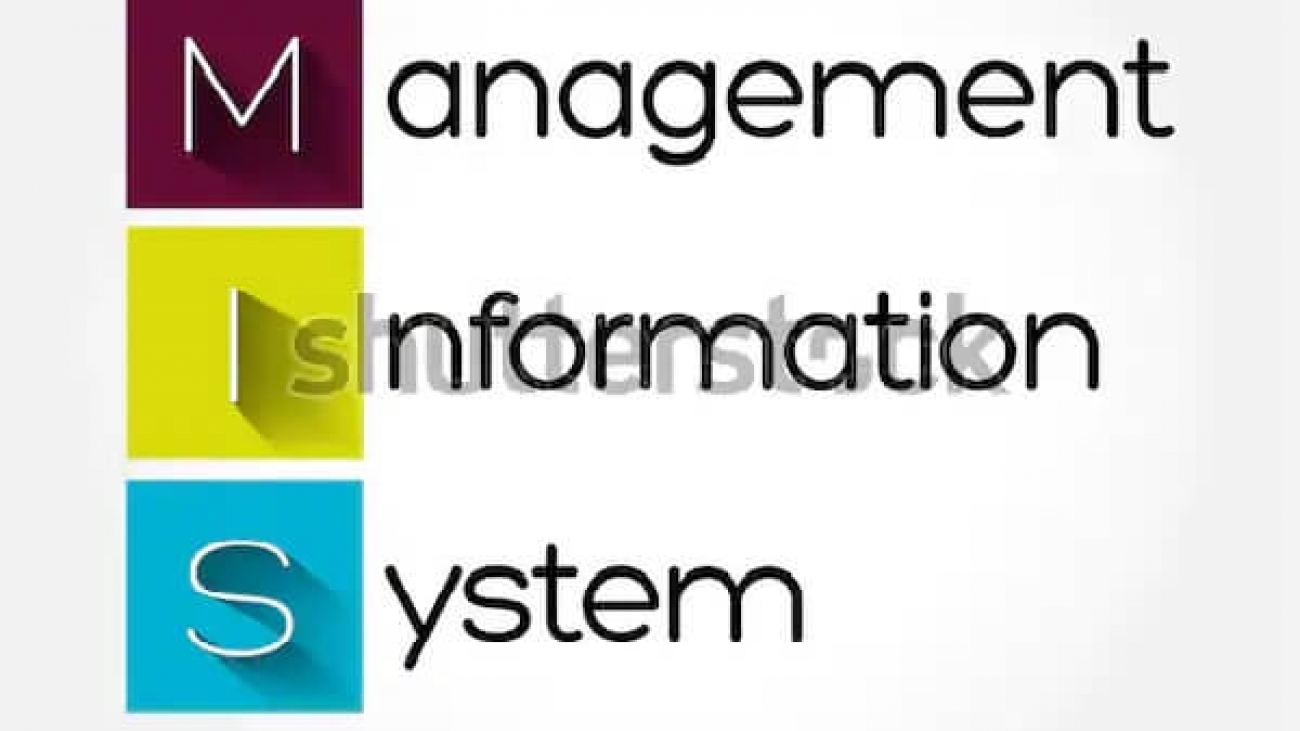 mis-management-information-system